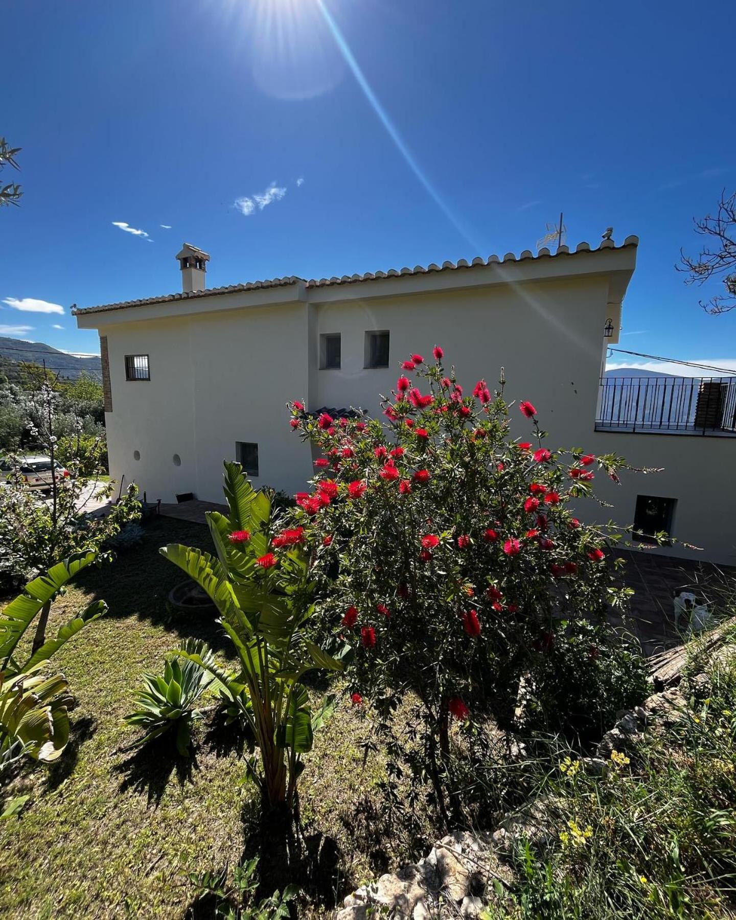 Cortijo Privilegio ランハロン エクステリア 写真